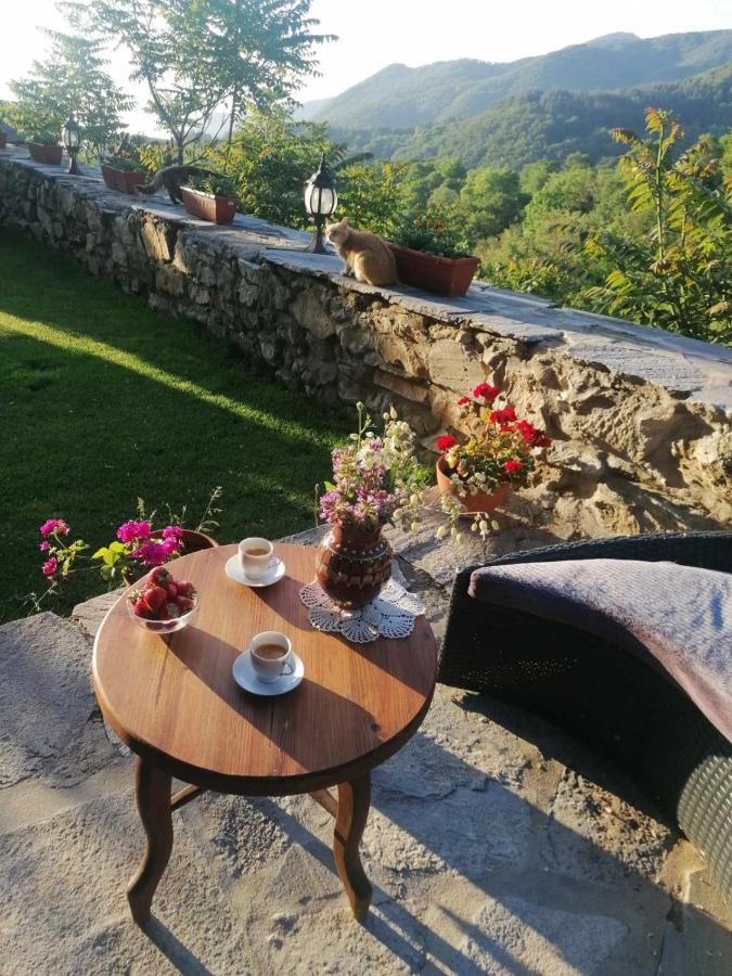 Yancheva Guest House Delchevo Экстерьер фото