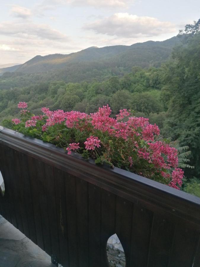 Yancheva Guest House Delchevo Экстерьер фото